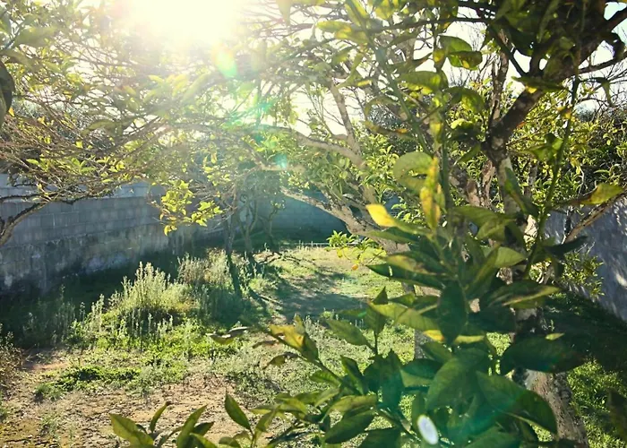 Villetta Lucia Casa Vacanze Nel Salento